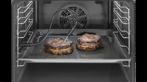 ge oven probe